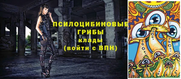 гашик Белокуриха