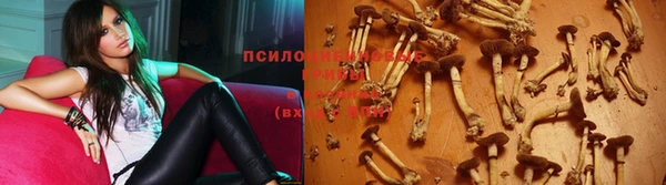 гашик Белокуриха