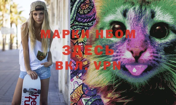 гашик Белокуриха