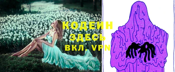 гашик Белокуриха