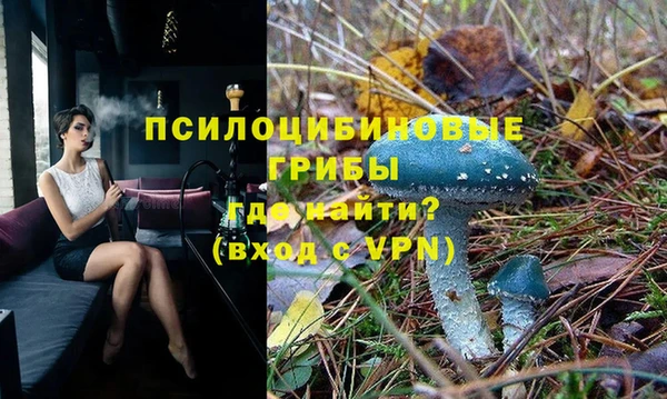 гидропоника Белоозёрский